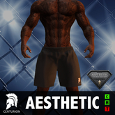 CENTURION AES JOGGER SHORTS DK GREY VENDOR