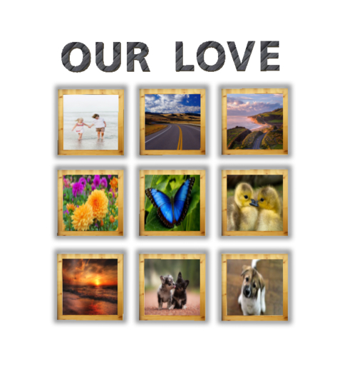 ::MM:: OUR LOVE  - 9 picture frame