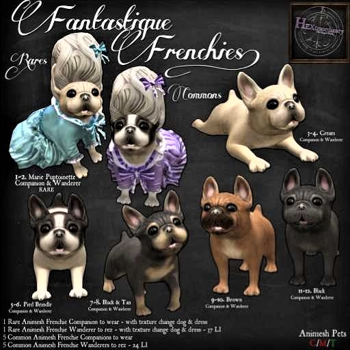 4. *HEXtraordinary* Cream Frenchie Wanderer