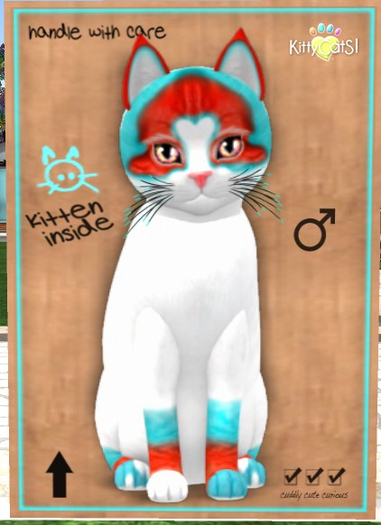 KittyCatS Box - Orinoco