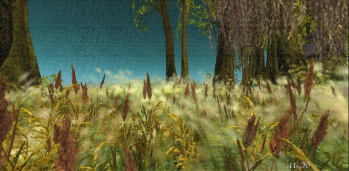 AUTUMN FIELDf/ramed