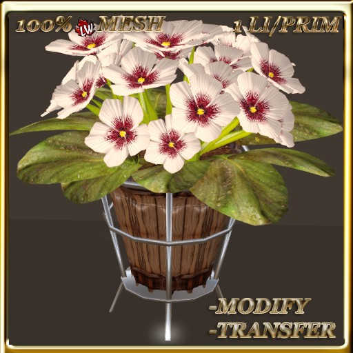 LW_African Violets (1 Prim/1 LI) 2
