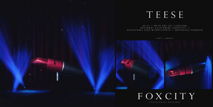 FOXCITY. Photo Booth - Teese