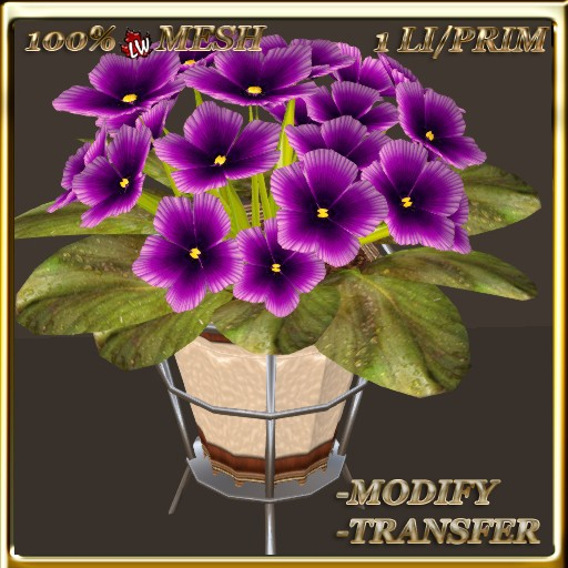 LW_African Violets (1 Prim/1 LI) 3