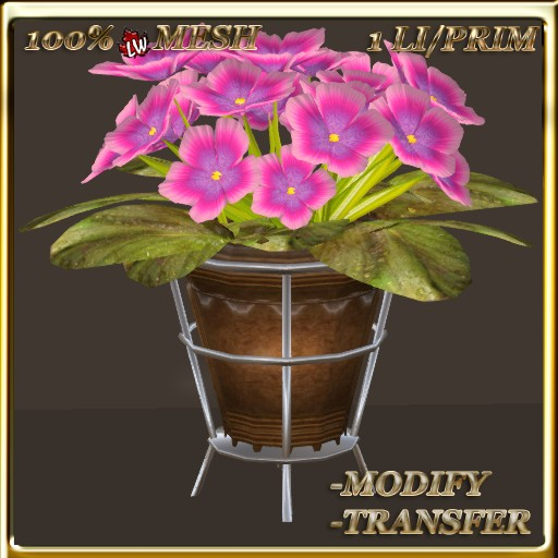 LW_African Violets (1 Prim/1 LI) 4