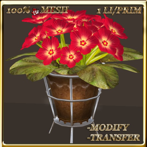 LW_African Violets (1 Prim/1 LI) 5