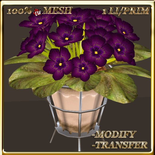 LW_African Violets (1 Prim/1 LI) 7