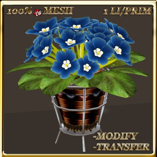 LW_African Violets (1 Prim/1 LI) 8