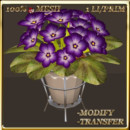 LW_African Violets (1 Prim/1 LI) 9
