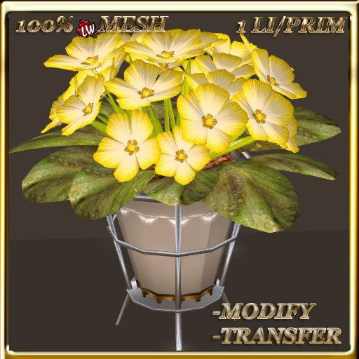 LW_African Violets (1 Prim/1 LI) 11