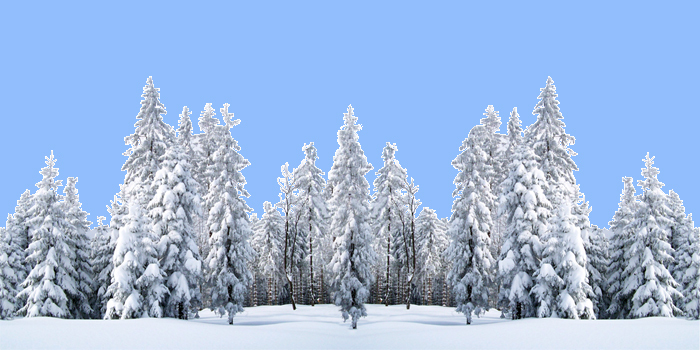 KMR-Snow landscape-001