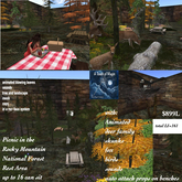 Picnic in the Rocky mountain National Forest rest area-Crate