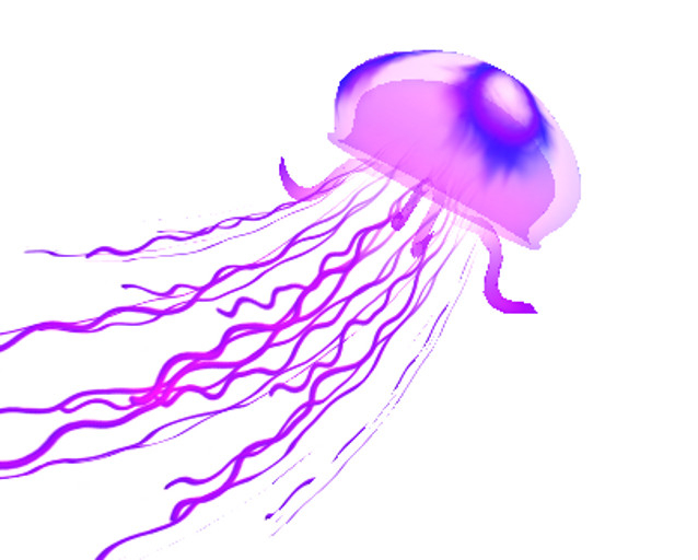 (7S) Rare Fish: Shift Jellyfish