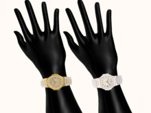 Flooded Baguette Patek FATPACK