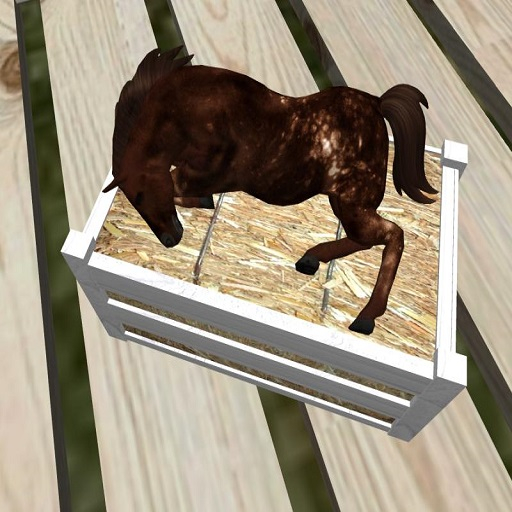 oYo Bundle - Female Brown Arabian