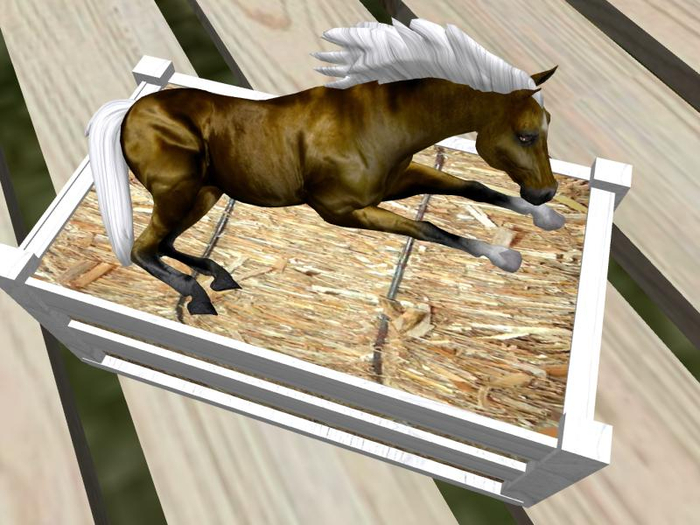 oYo Bundle - Male Gold Arabian