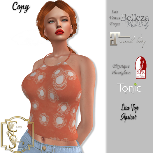 (CNS)Lisa Top Apricot