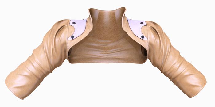 Limited Addiction - Alice Jacket - Gold