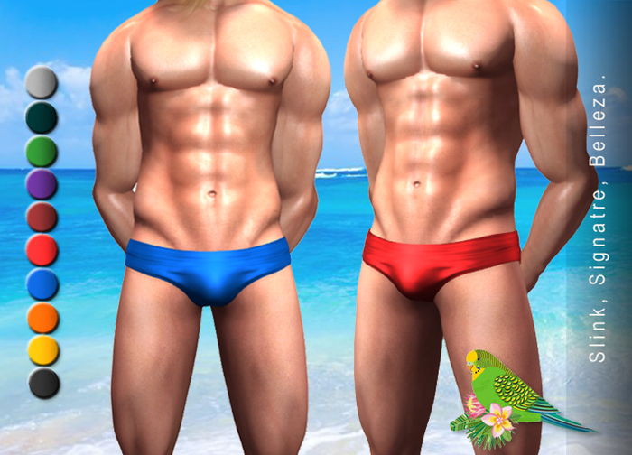  Men's Low Rise Briefs Swimsuit