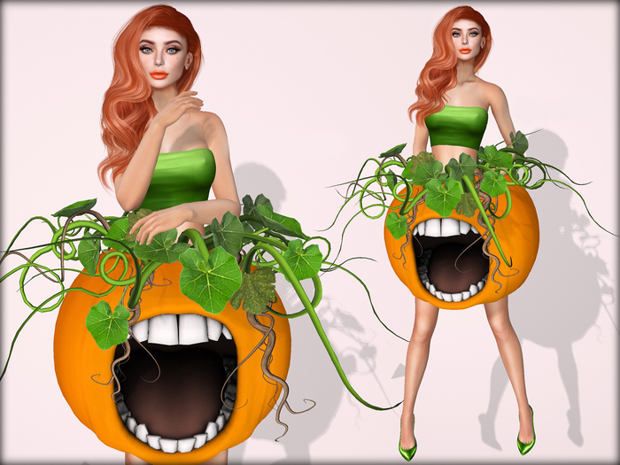 Pumpkin Pie