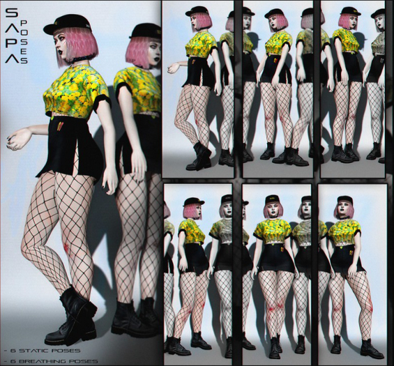 SAPA poses 90