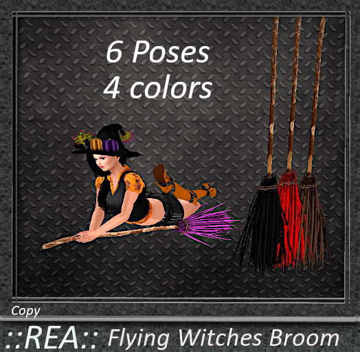 ::REA:: Flying Witches Broom