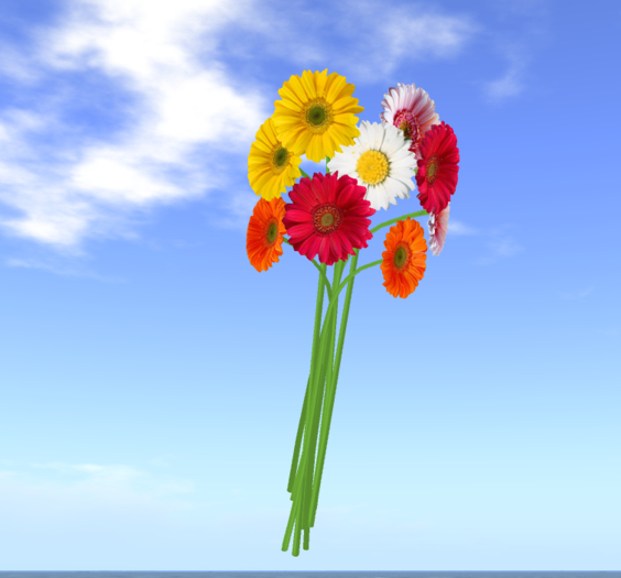 bouquet of daisies  Bento