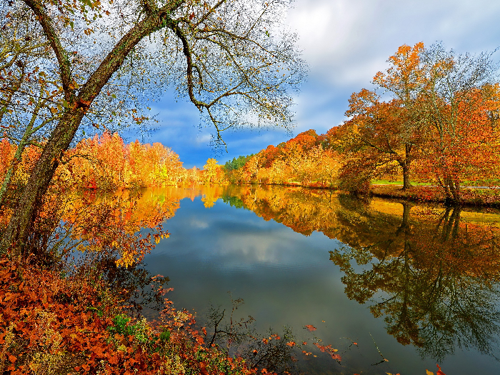 Texture background autumn landscape