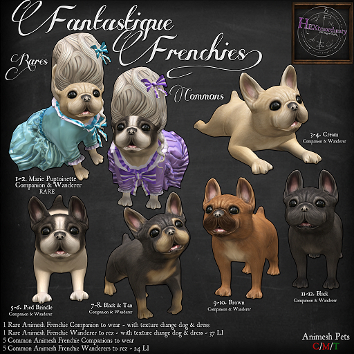 10. *HEXtraordinary* Brown Frenchie Wanderer