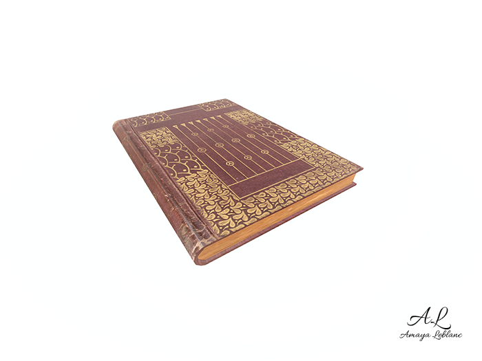 Amaya Leblanc Antique Book