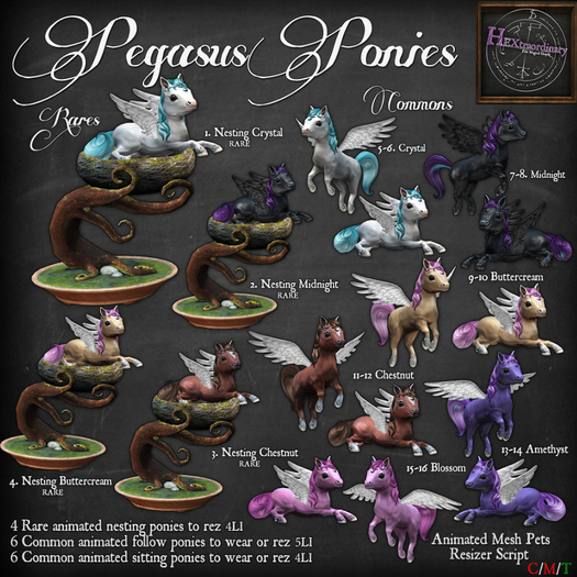 13. *HEXtraordinary* Amethyst Pegasus Pony (Companion)