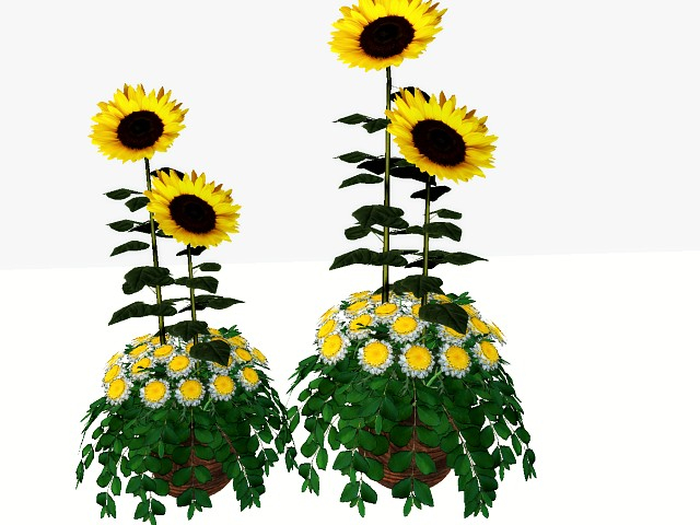[AE] Garden Store - Sunflower Pot