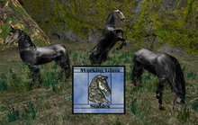 WGS Teegle skin applier(Box) Spookster