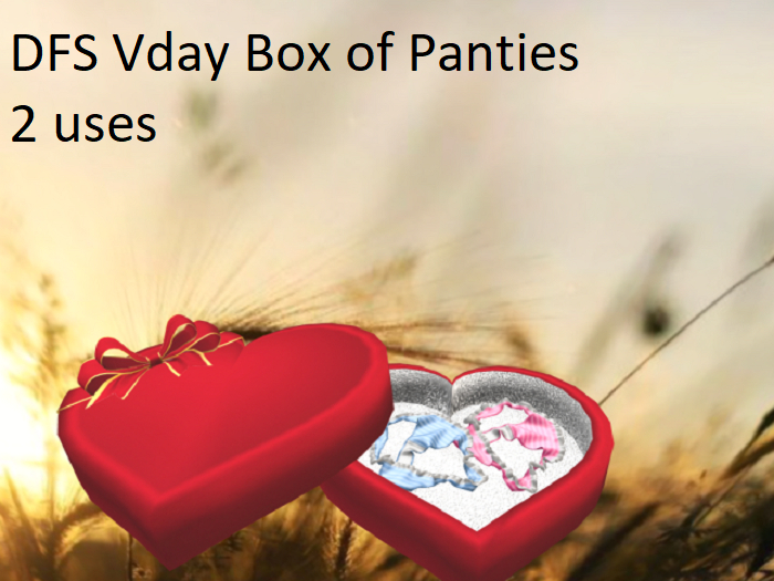 DFS Vday Box Of Panties (2)