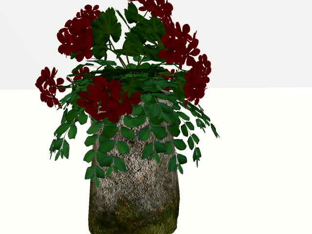 [AE] Garden Store - Geraniums in Stone Planter