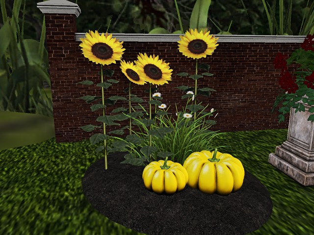 [AE] Garden Store - Sunflower & Daisies Patch