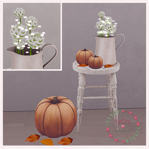 LpOca Pumpkins/ table