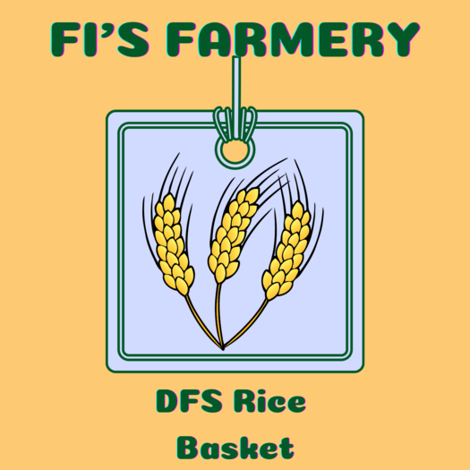 DFS Rice Basket x 5 (rez)