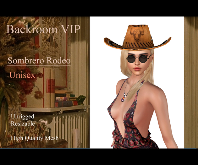 [BRB] Sombrero Rodeo - Unrigged