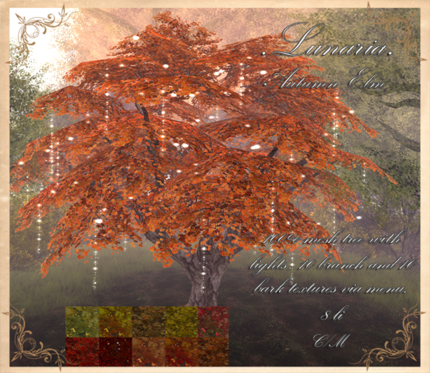 .Lunaria. Autumn Elm 