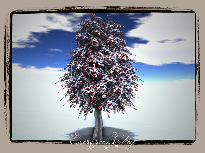 EV - Oak Falling Snow Tree 1