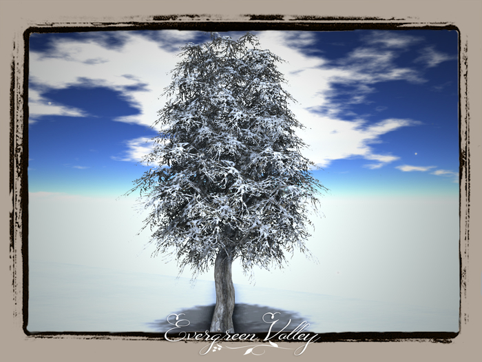 EV - Oak Falling Snow Tree 2