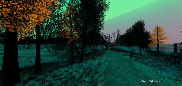 PATH NEAR THE SEA