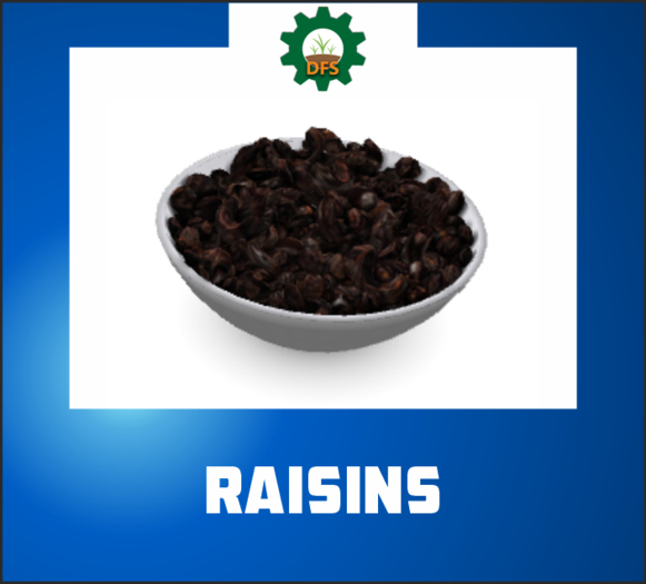 DFS RAISINS (texture)