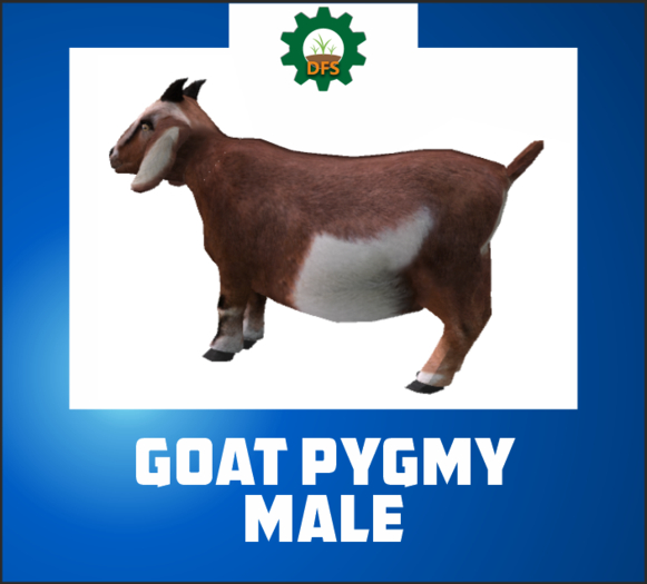 DFS PYGMY MALE (texture)