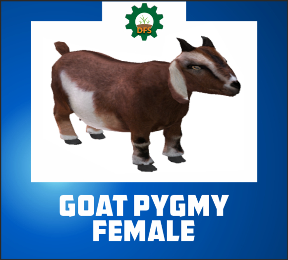 DFS PYGMY FEMALE (texture)
