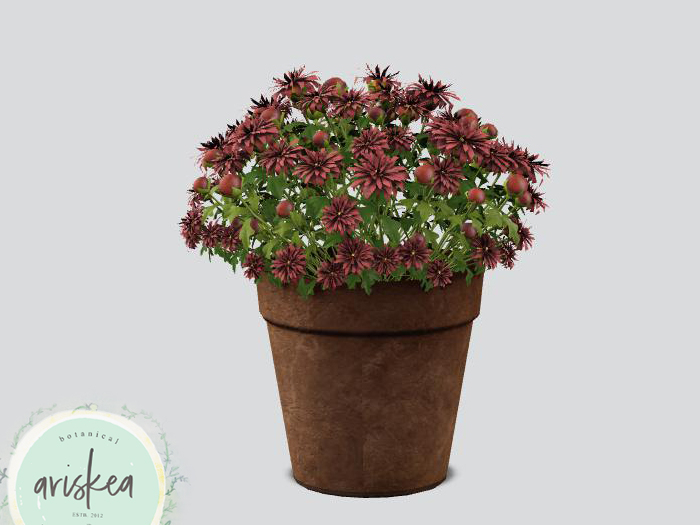 Ariskea[Velvet] Mums Pot [Copper]