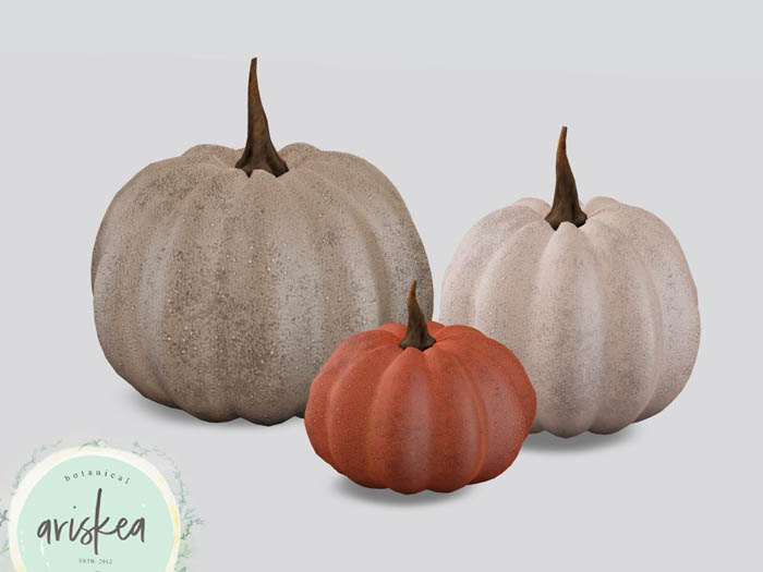 Ariskea[Flores] Pumpkins