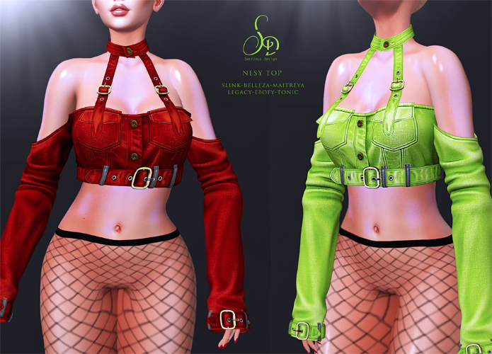 -SENTINUS- Nesy Top DEMO