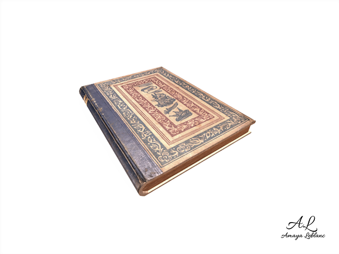 Amaya Leblanc Antique Book II